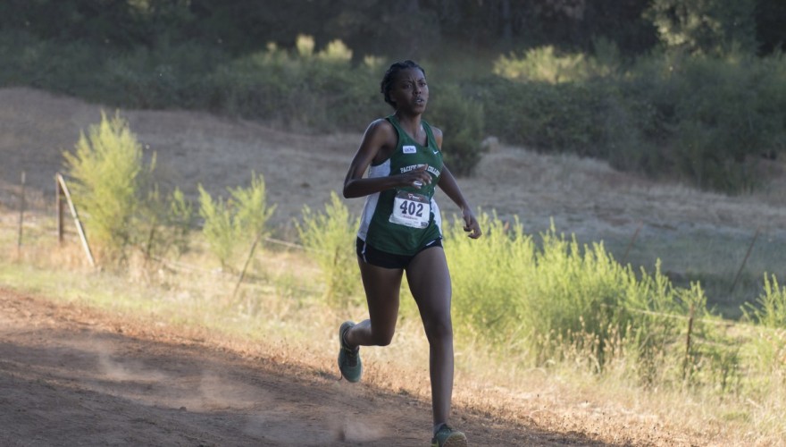 Cross Country Gears up for 2017/18 Season